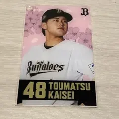 Item thumbnail for item 0920ceed-be18-47e9-ab57-76b80f51049e