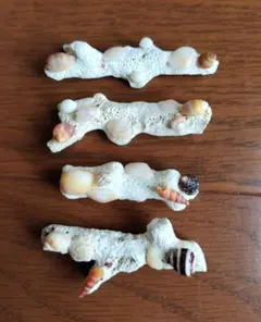 サンゴ片と貝がらの箸置き　４点セット　Ｂ