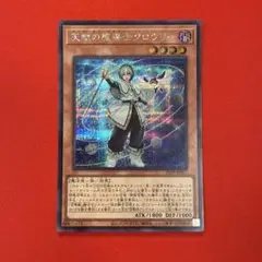 【まとめ買い割引】 天賦の魔導士 クロウリー シークレット シク