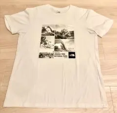 【美品】THE NORTH FACE ジョシュア・ツリー フォトTシャツ