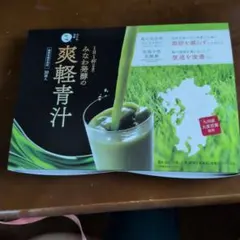 미나와 발효로 만든 상큼한 녹즙, 30봉지, 기능성 표기 식품