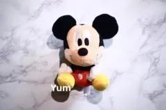 東京ディズニーリゾート ぬいぐるみバッジ 顔だけミッキー レア - メルカリ