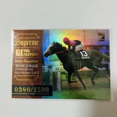 希少　競馬トレカシリアルナンバー入り　ビワハヤヒデ　バンダイ　2000年