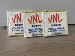 VNL バレーボール 応援スティックバルーン 福岡