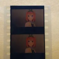 劇場版 五等分の花嫁 入場者 来場者特典 第6弾 フィルムコマ 四葉　正面