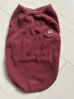 Item thumbnail for item 411d8ff5-e634-4566-b704-7cc9cf5ae8b6