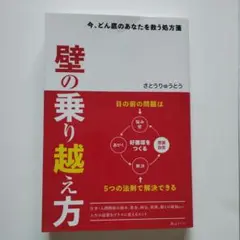 壁の乗り越え方 : 今、どん底のあなたを救う処方箋