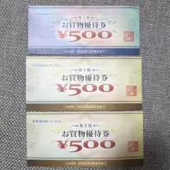 YAMADA HLDGS. お買物優待券 500円