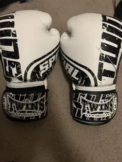 TWINS SPECIAL ボクシンググローブ ホワイト/ブラック