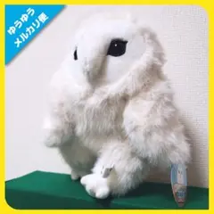 メンフクロウ BABY ぬいぐるみ