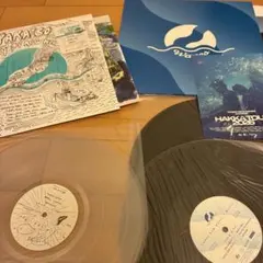 KANDYTOWN Gottz AQUA レコード gottz AQUA レコード SUNSET kandytown - メルカリ