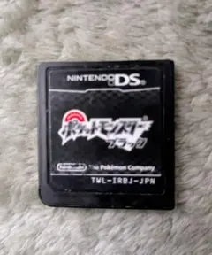 グ*ム様 ポケットモンスター ブラック 何体か配布、色違いあり