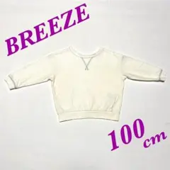 Item thumbnail for item dd2c155f-a01e-4570-b4a5-3cecf371f072