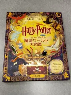 Item thumbnail for item 46c721d4-201b-4dd6-8995-87dc8ae817f5