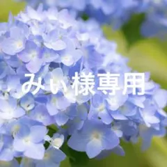 みぃ様専用