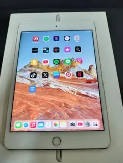 Apple iPad mini 4 64GB ゴールドのサムネイル