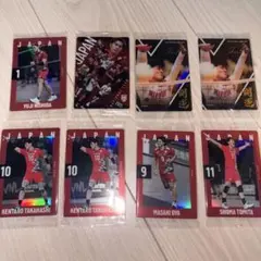 バレーボール日本代表 ツインウエハース カード