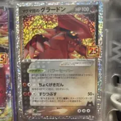 2025年最新】グラードン 25thの人気アイテム - メルカリ