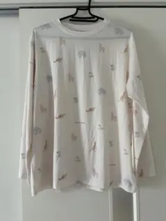 Item thumbnail for item 5beb2fb4-dfaf-49cc-8bbf-e66826088b42