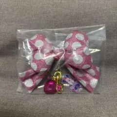 ディズニーパルパルーザ　ミニーのファンダーランド キーチェーン シークレット