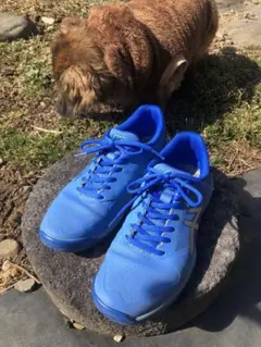 Item thumbnail for item 3262d4d3-55ce-45e4-8143-ec5ab63cca92