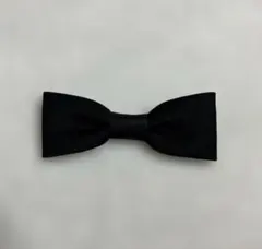 Item thumbnail for item f6f84345-ccdc-49dc-af00-0c56350028b4