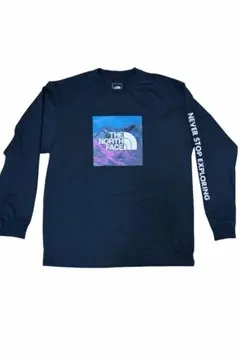THE NORTH FACE ロンT ブラック　Lサイズ