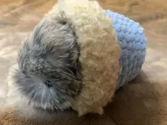 2026年最新】Moflin モフリンの人気アイテム - メルカリ