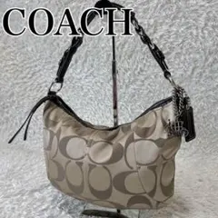 2026年最新】coach ワンショルダーバッグ シグネチャーの人気アイテム