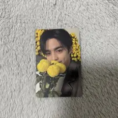 seventeen エスクプス トレカ