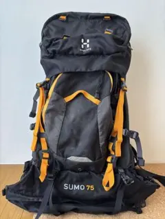 Item thumbnail for item 3d5122a2-09ea-43c4-b3fe-972a1dbaa569