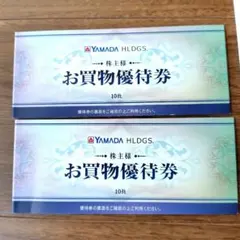 YAMADA HLDGS. お買物優待券 ２セット10000円分
