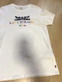 希少　Levi Strauss & Co. 刺繍ロゴ Tシャツ M