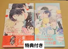 結姫様 リクエスト 2点 まとめ商品