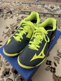 Item thumbnail for item b2c6b58d-3b23-4c71-a253-89ae7d3dd0ec