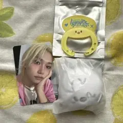 スキズ dominate celebrate ポガリ カラビナ＆キーリング特典付