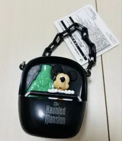 タグ付　ディズニー スーベニア　スナックケース　ホーンテッドマンション　ミッキー