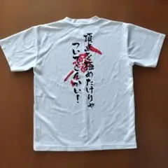 Item thumbnail for item 3cdf5821-59ed-49dc-9365-2371dbe19173