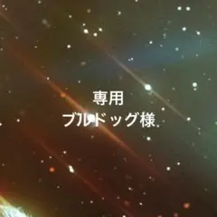 専用ページ ブルドッグ様