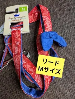 Item thumbnail for item 8388ec1a-fe14-47dc-84fb-2a32cca6d7c8