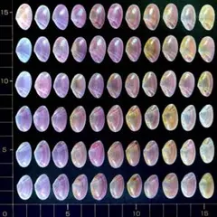 saki様 リクエスト 2点 まとめ商品