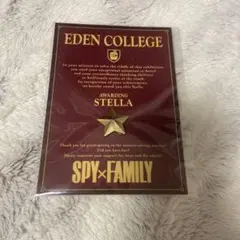 【非売品】SPY×FAMILY ステラ賞 証書