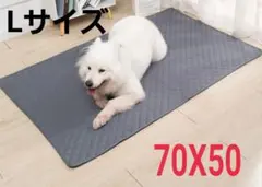 ペットマット　L　2枚　ペットシーツ　グレー　大型犬猫　中型犬用　洗濯可のサムネイル