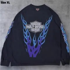 Item thumbnail for item 36722979-4774-4eaa-a006-6eb793843606