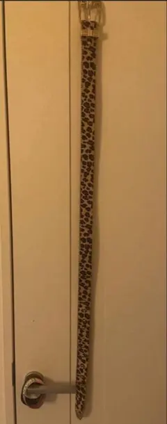 ヒョウ柄 ベルト 装飾的バックル付き