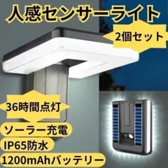 Item thumbnail for item 1bd49c4c-0a8c-4439-a53e-a2322cde96cc