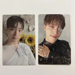 消費期限　メンシプ　ディノ　トレカ