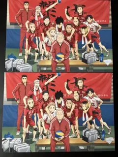 ハイキュー!!ゴミ捨て場の決戦　映画特典　2枚 音駒高校最後の集合写真
