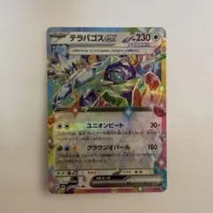 テラパゴスex ポケモンカード 230HP