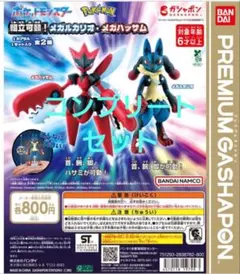 ポケットモンスター 組立可動！メガルカリオ・メガハッサム 全2種　コンプセット